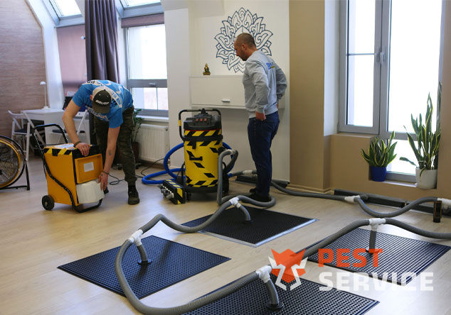 Профессиональная сушка после потопа в Нижнекамске от 3000 руб. Быстро устраняем влагу, предотвращаем плесень и повреждения. Современное оборудование и опытные специалисты. Безопасно и эффективно.